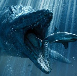 Meet your Posher, Clinton